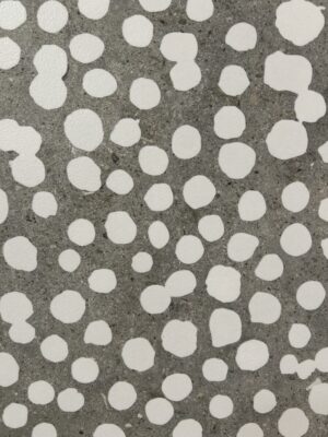 Piastrella "PTR Stone Carpet Gre"
