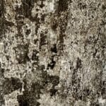 Piastrella "Marks Lehad"