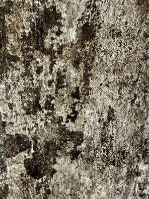 Piastrella "Marks Lehad"
