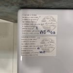 Sanitari a terra - "Uno Mini" Bianco Lucido