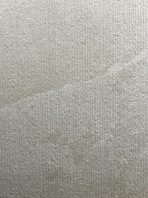 Piastrella "Ardesia Beige Linea"
