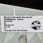 Piastrella "Select Foliage Salvia"